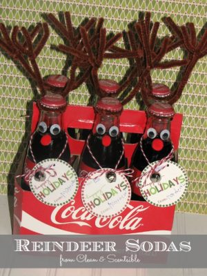 Cute reindeers sodas! These would make a fun class treat or neighbour gift!