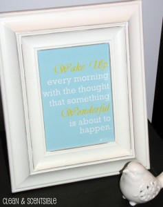 Free Printable from Clean and Scentsible.  Definitely something to remember!