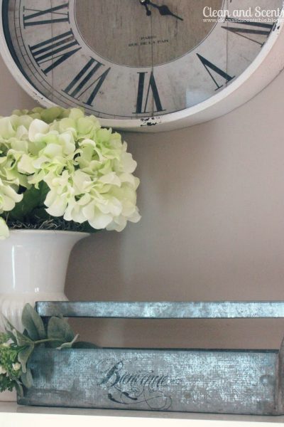 Front entry organization and design ideas.