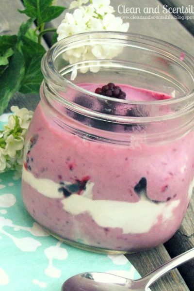 No bake blackberry cheesecake pots - SO good and super quick and easy to make!