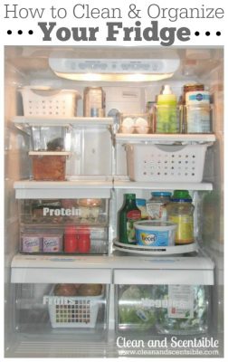 Great tips for cleaning and organizing the fridge and freezer!