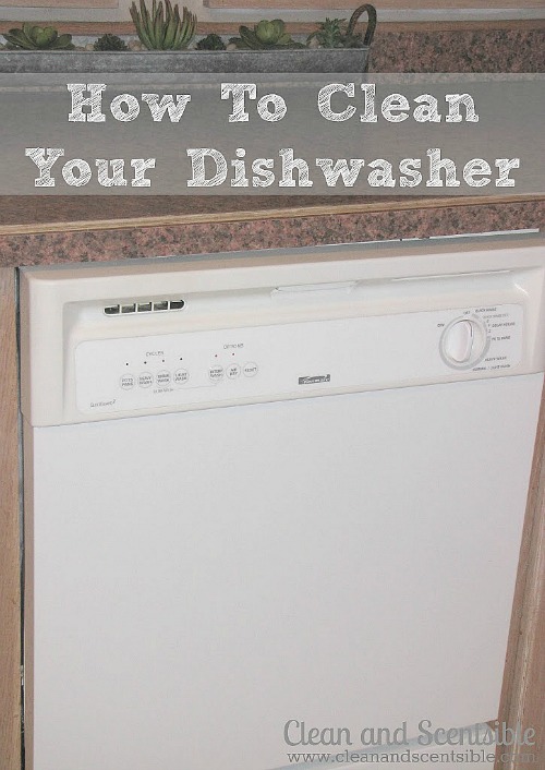 How to Clean your Dishwasher {from Top Cleaning Posts from 2013}