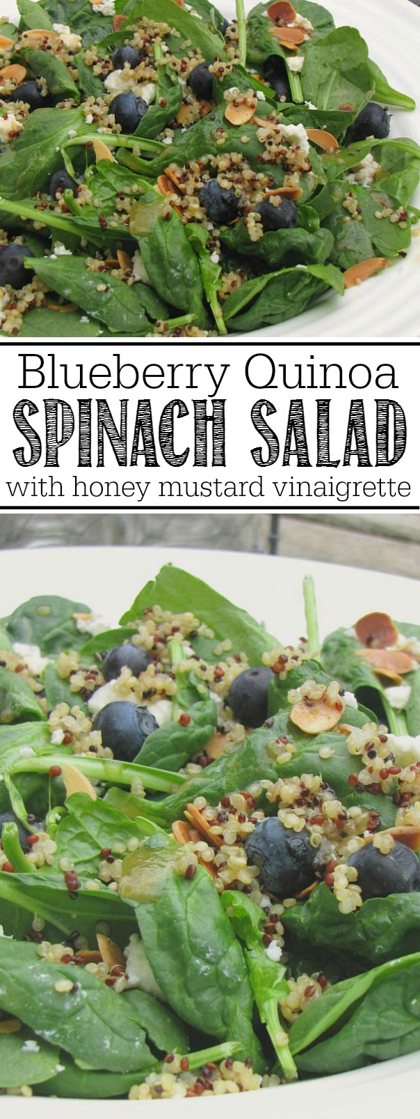 Healthy and delicious blueberry quinoa spinach salad with a honey mustard vinaigrette.