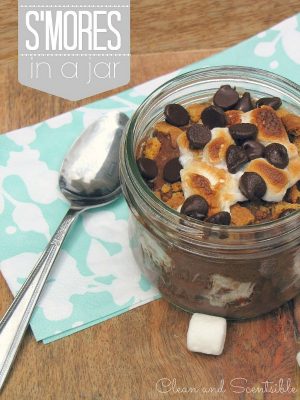 S'mores in a Jar and 100 other fun ideas for summer!