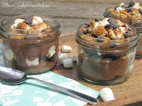 S'mores in a Jar - A fun twist on a summer classic! Easy to pack up for picnics!