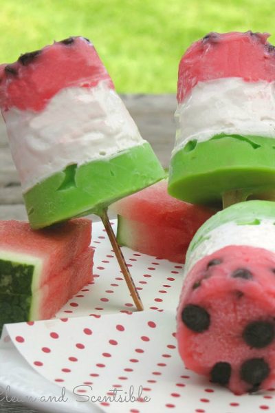 Watermelon pudding pops - such a fun summer treat!
