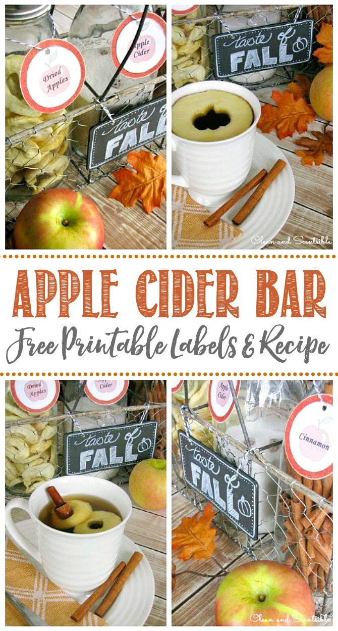 Apple Cider Bar with free printable labels. Add some dried apples and a cinnamon stick to a mug of hot apple cider.