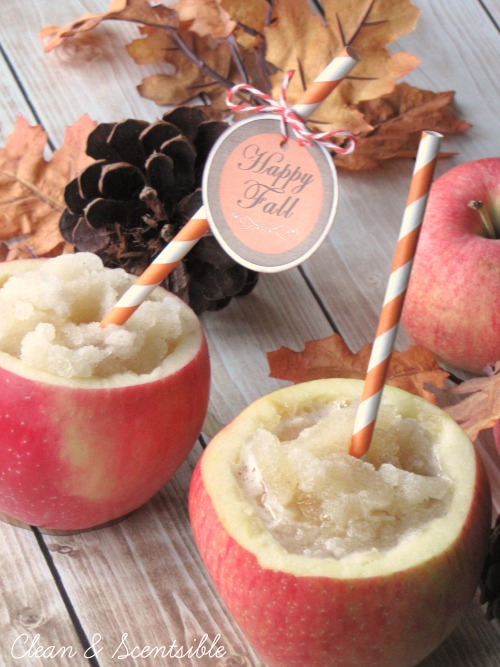 The perfect apple cider slushie.  Works with regular apple juice too!