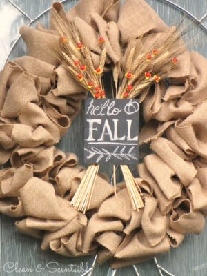 Burap Fall Wreath and other ideas for decorating your front porch for fall.