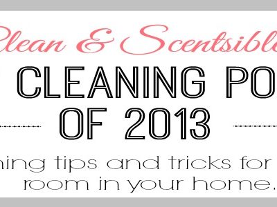 Top Cleaning Projects of 2013.