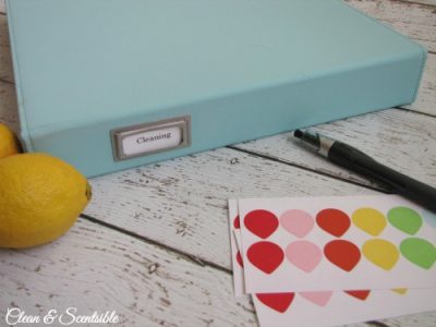 Everything you need to create a cleaning binder. Free printables included.