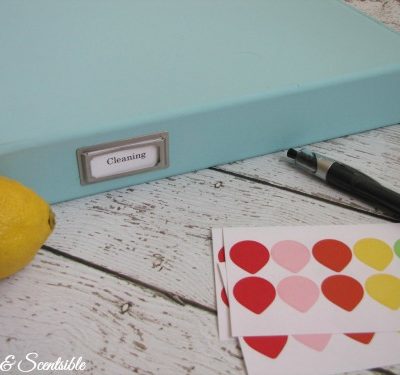 Everything you need to create a cleaning binder. Free printables included.