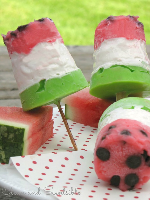 Watermelon pops and 100 other summer ideas!