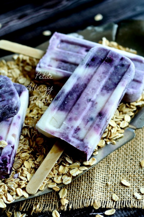 Blueberry Oatmeal Pop and lots of other yummy popsicle ideas!