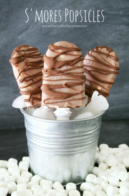 S'mores popsicles and lots of other yummy popsicle ideas!