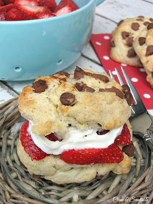 Homemade chocolate chip strawberry shortcakes with fresh strawberries and whipping cream.