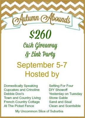 Fall Llnk Party and $260 CASH giveaway!