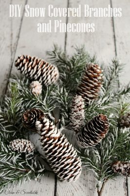 Make your own snow covered branches and pine cones to use for Christmas vignettes and displays. So much prettier! // cleanandscentsible.com