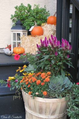 Easy ideas to help you decorate your fall front porch. // cleanandscentsible.com