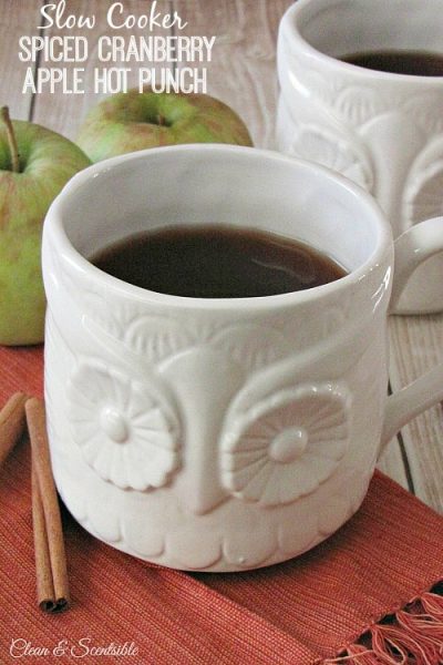 This spiced cranberry apple hot punch is made in the slow cooker for the perfect fall drink! // cleanandscentsible.com