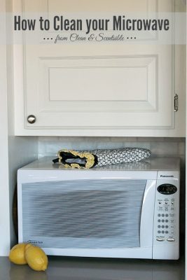 How to clean your microwave {and garbage disposal too!}