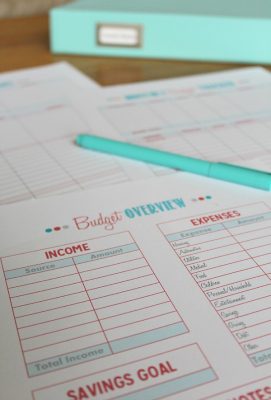 Family Binder Budgeting Printables - Clean and Scentsible