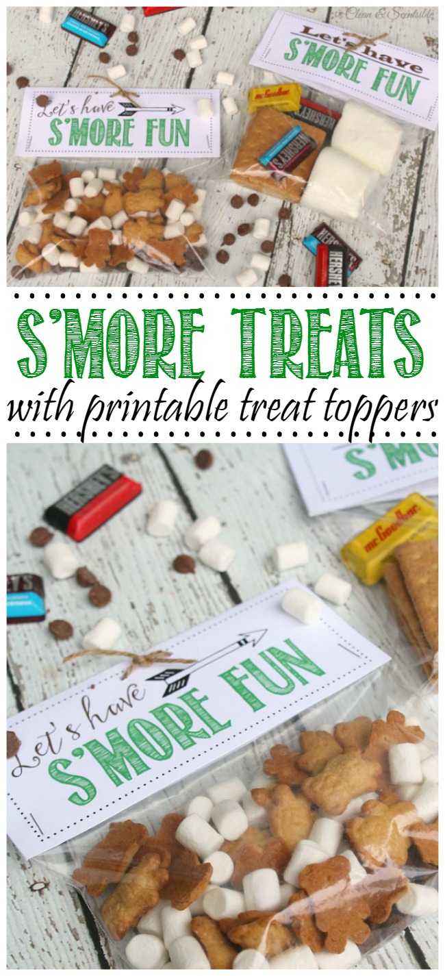 S'more treat bags with printable treat toppers.  Makes a fun camping or party treat!