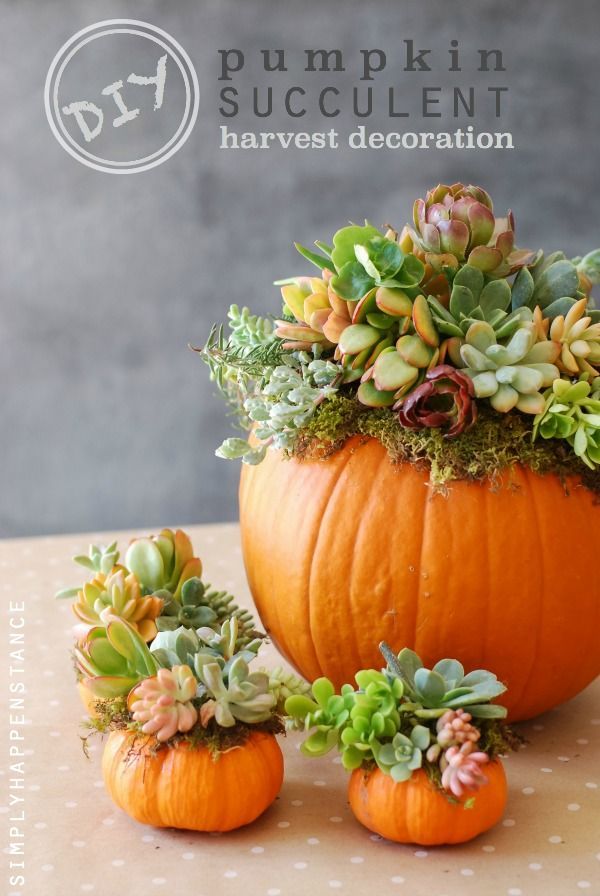 Beautiful fall projects and decorating ideas.