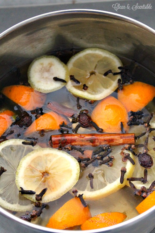 Make your home smell like Christmas with this DIY simmering potpourri.