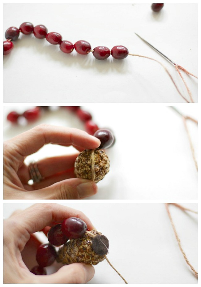 Pinecone and Cranberry Garland - Clean and Scentsible