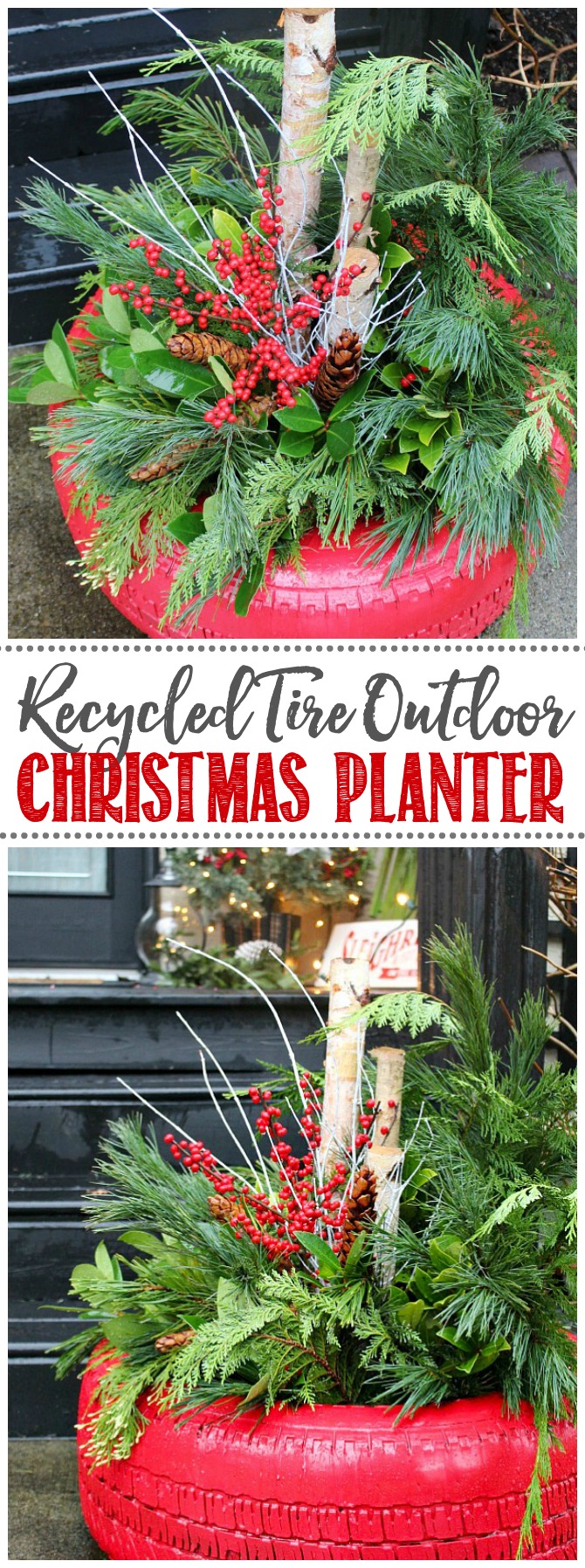 Painted recycled tire used for a beautiful fresh greens Christmas planter.