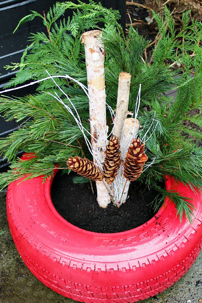 Painted recycled tire used for a beautiful fresh greens Christmas planter.