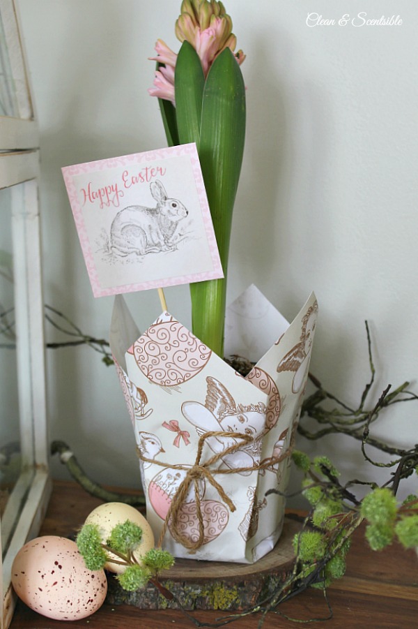 This cute Easter planter would make a cute hostess gift or could be used in a variety of ways in your Easter decor. Free printable Easter paper and Easter tags included.