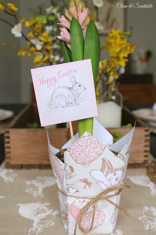 This cute Easter planter would make a cute hostess gift or could be used in a variety of ways in your Easter decor. Free printable Easter paper and Easter tags included.