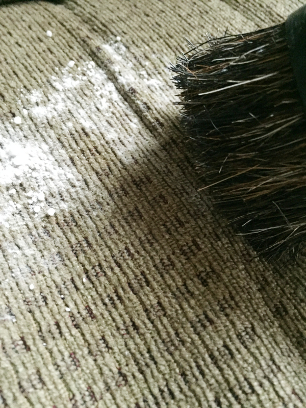 DIY Carpet and Upholstery Freshener