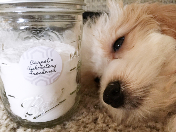 DIY Carpet and Upholstery Freshener . The perfect green cleaning method to get rid of pet odors, food odors and more!
