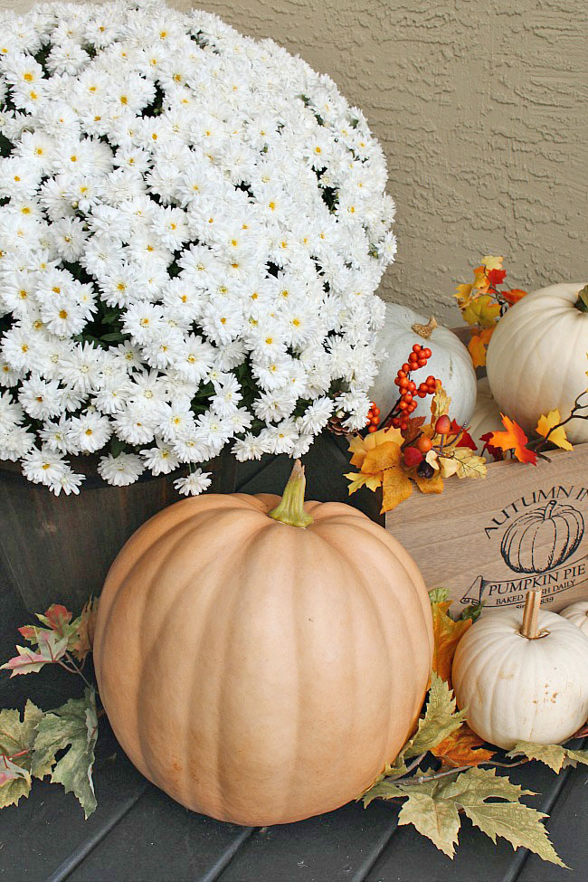 Beautiful fall porch decorating ideas using natural elements. Love all of the pumpkins!