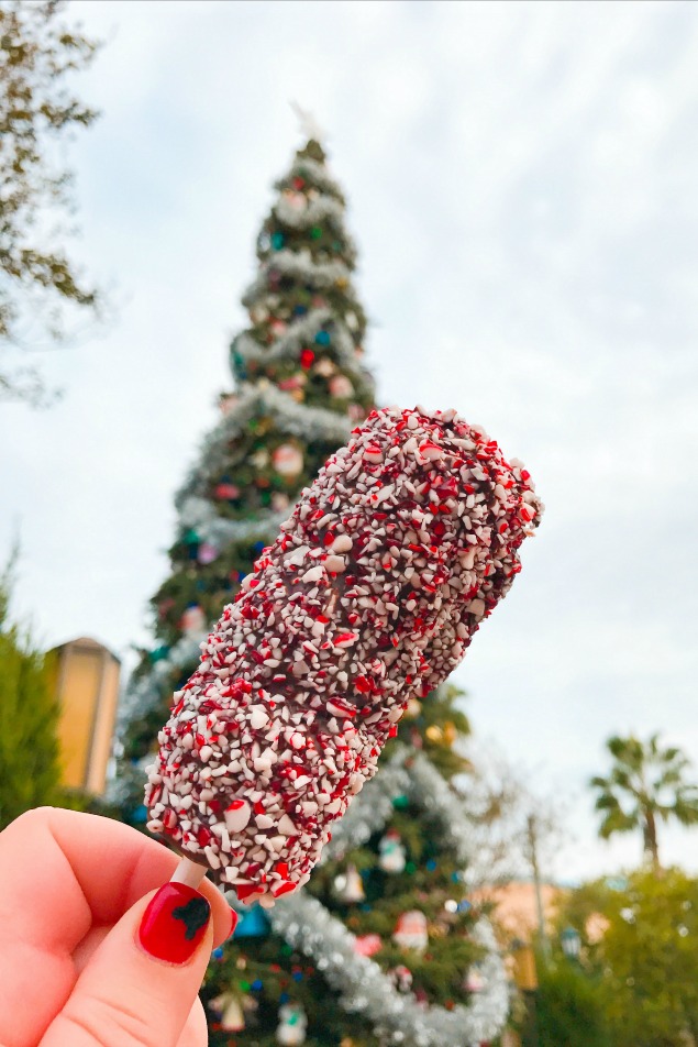 10 Magical Things to See at Disneyland at Christmas.