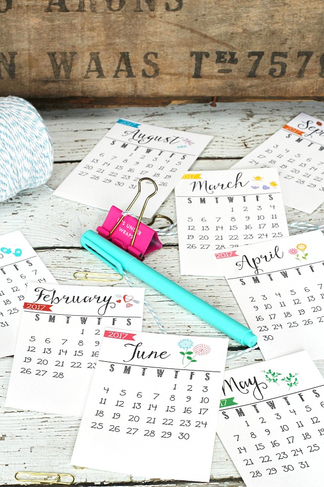 Free printable 2017 calendar. Perfect for your desk or office. Makes a cute gift idea too!