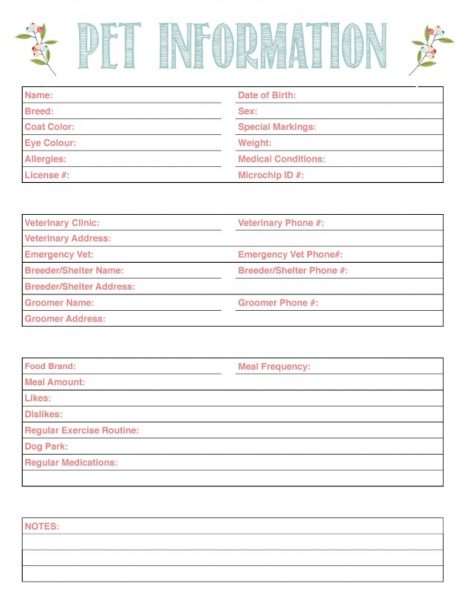 Pet Cleaning Tips and Free Pet Care Printables Clean And Scentsible pet-cleaning-tips-and-free-pet-care-printables-clean-and-scentsible