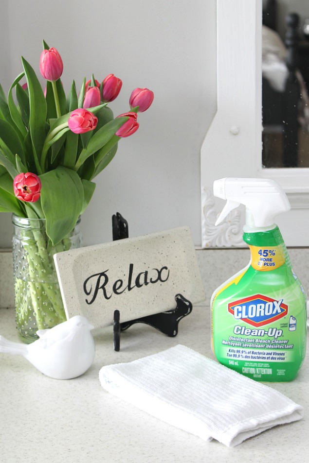 Spring cleaning tips using bleach. Bleach can be a very effective product - you just need to know when to use it and when NOT to use it!