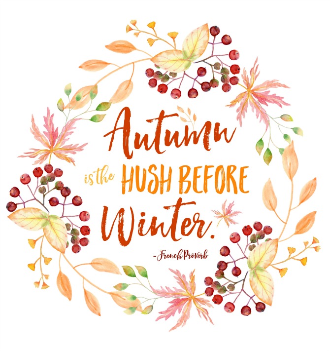 Gorgeous collection of free autumn printables. These are such a quick and inexpensive way to decorate your home for fall.