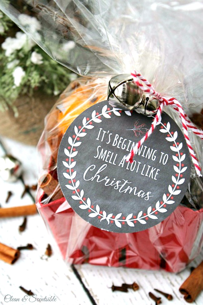 Simmering Christmas potpourri gift idea in a berry basket. Wrapped with a free printable Christmas gift tag "It's beginning to smell a lot like Christmas."