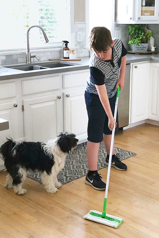 Cute havenese poodle dog with the Swiffer Sweeper.
