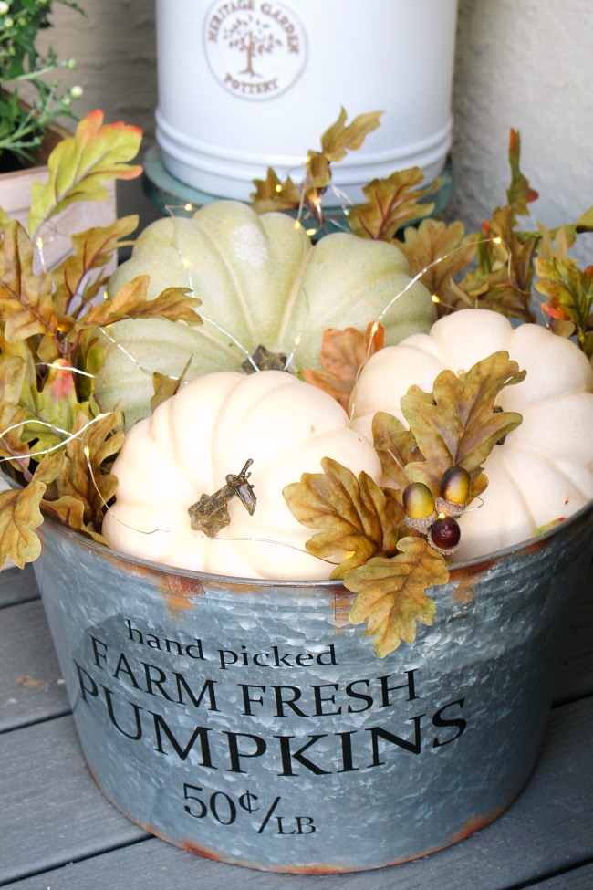 Lighted fall pumpkin bucket. Galvanized metal bucket filled with pumpkins, fall leaves, and mini lights.