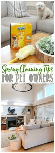 Pet Spring Cleaning Tips for Pet Owners - Clean and Scentsible