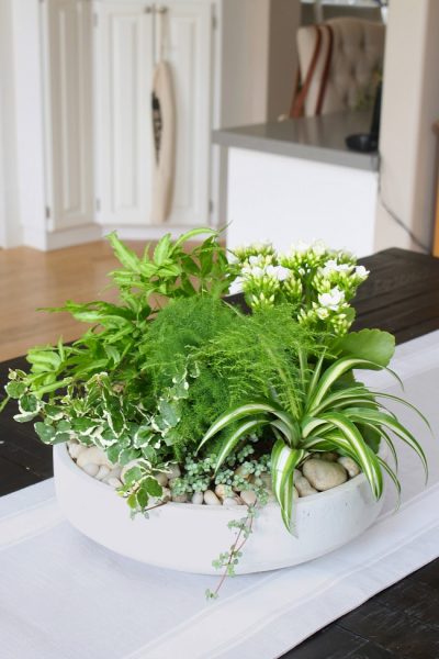 DIY tropical planter centerpiece in a modern planter.