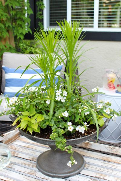 White and green summer planter on a summer patio.