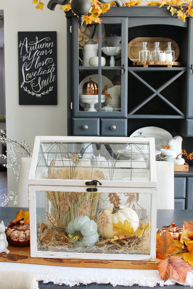 Pretty white terrarium with pumpkins and wheat for a beautiful DIY fall centerpiece.