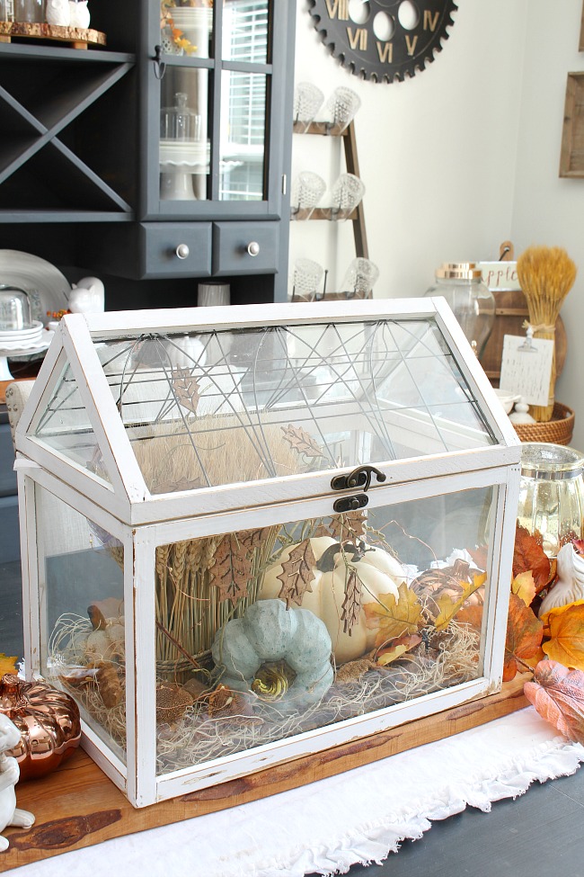 Pretty white terrarium with pumpkins and wheat for a beautiful fall centerpiece.